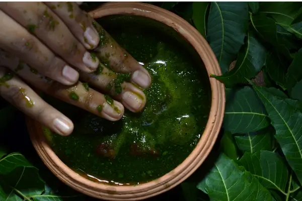 Remédios da terra: a tradição dos quintais medicinais nas culturas Indígenas.