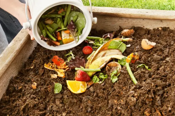 Como usar compostagem de resíduos de cozinha para nutrientes em seu jardim de ervas medicinal.