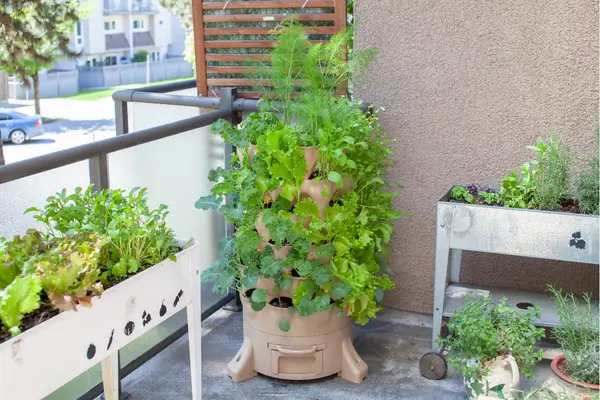 Transforme sua varanda em uma horta de plantas medicinais com pouco espaço.